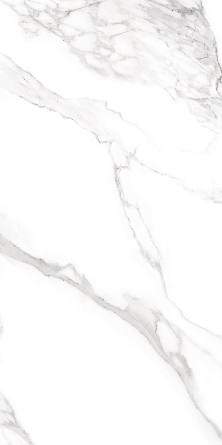 Купить Museum Torano Bianco Nat R 60x120 