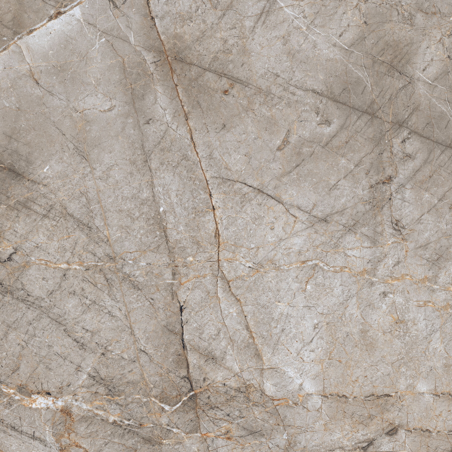 Купить Neodom Sixty Morato Polished 60x60 