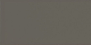 Купить Equipe Evolution Gris Oscuro Brillo 7,5х15 