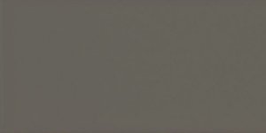 Купить Equipe Evolution Gris Oscuro Brillo 7,5х15 