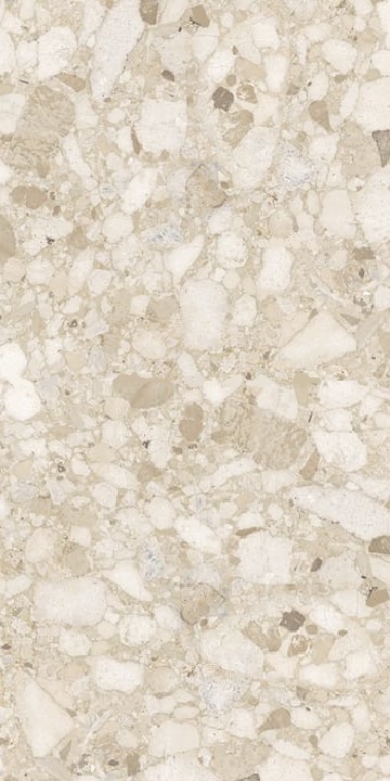 Купить Sant' Agostino Venistone Beige Kry 60х120 