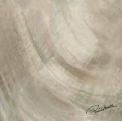 Купить Roberto Cavalli Bright Pearl Bronze Firma Rett 80х80 