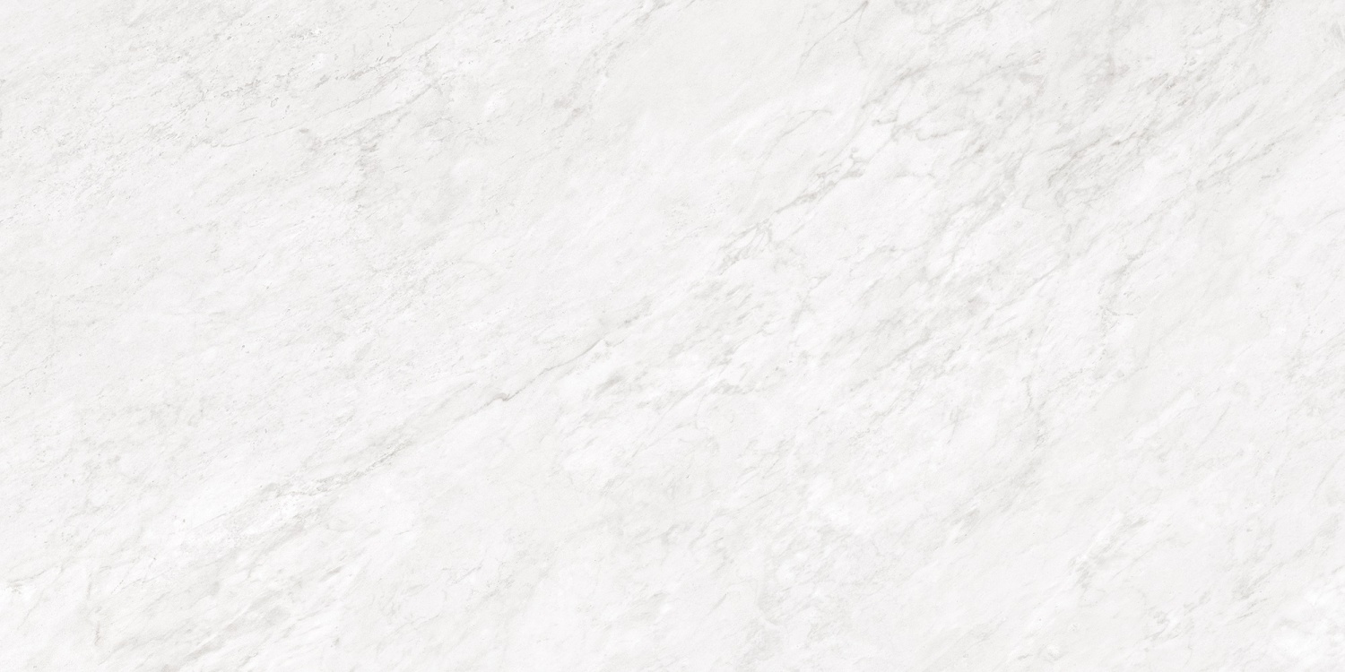 Купить Museum Bardiglio Pearl EP 60x120 