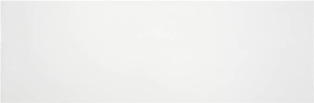 Купить Stn Blanco Matt 33,3x100 