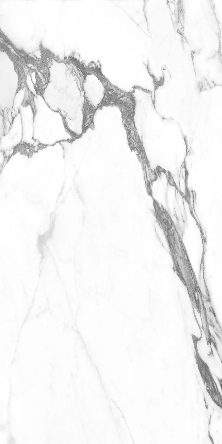 Купить Argenta Altissimo 60x120 