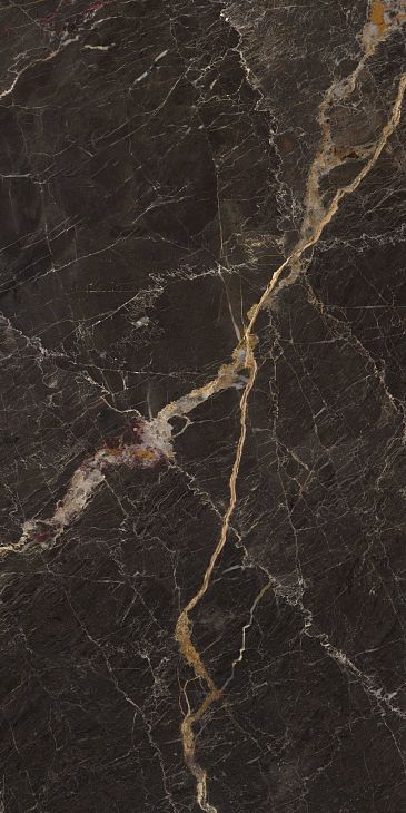 Купить Fanal Pulido NPlus Windsor Black 60x120 