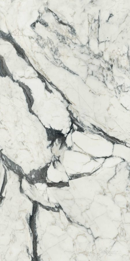 Купить Calacatta Altissimo Blanc Matte 60х120 
