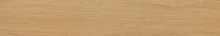 Купить Gardenia (Versace) Elite Beige 13х78.9 