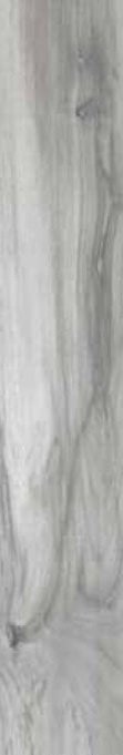Купить Ecoceramic Tasmania Hail 20х120 