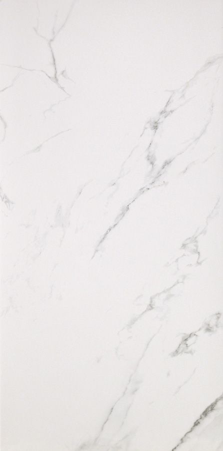Купить Casalgrande Marmoker Statuario Grigio Lucido 60x120 