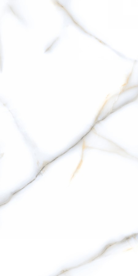 Купить Neodom Onix Pro Honey Polished 60x120 