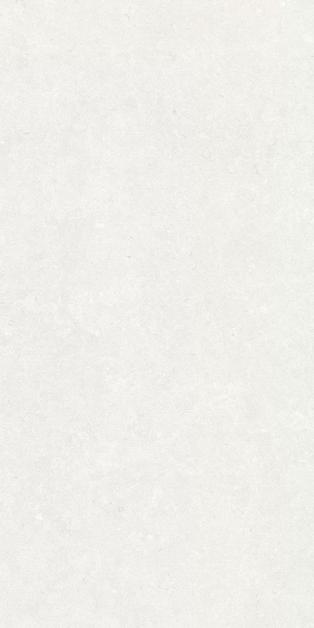 Купить Peronda Ghent White Antislip C/R 60x120 