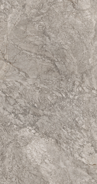 Купить Breccia Braque Lap Luc Rett. 60x120 