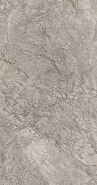 Купить Breccia Braque Lap Luc Rett. 60x120 