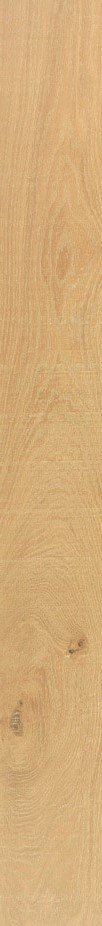 Купить Venis Starwood Vancouver Honey 16.5x150 