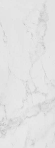 Купить Porcelanosa Marmol Carrara Blanco 45x120 