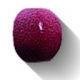 Купить Petracers Grand Elegance Ang Est Sigaro Bordeaux 2,5х2,5 