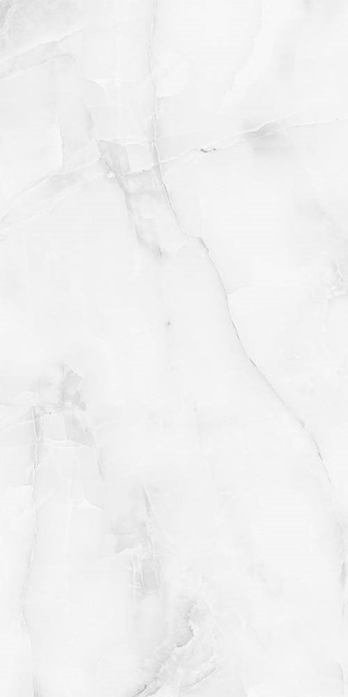 Купить Staro Palacio Antisky Grey Light Polished 60x120 