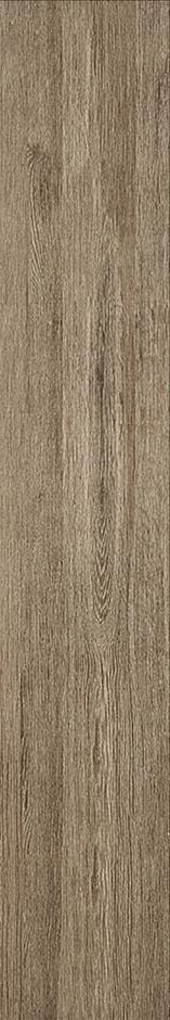 Купить Stylnul (STN) Pav. Baer Beige 15х90 