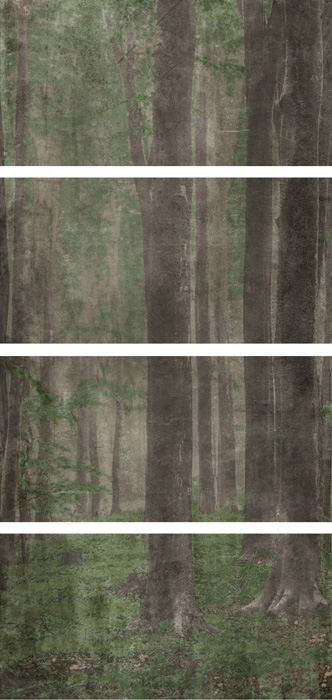 Купить Wide&Style Woods A CP4 120x240 