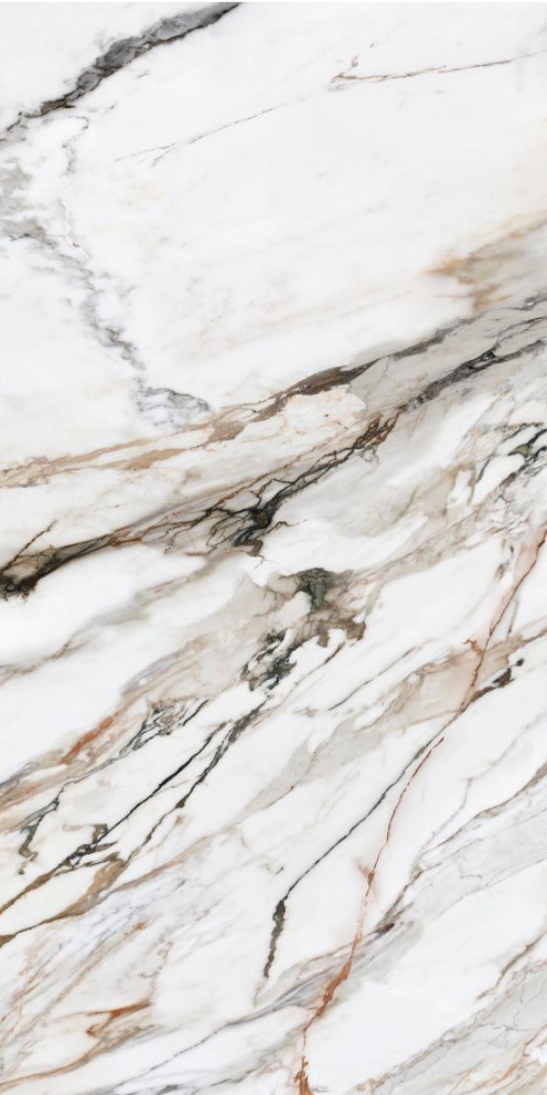 Купить ITT Calacatta Paonazzo Polished Rect. 60x120 