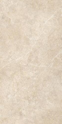 Купить Ragno Realstone Argent Sabbia RT 60x120 