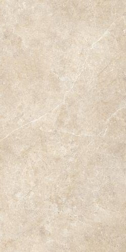 Купить Ragno Realstone Argent Sabbia RT 60x120 