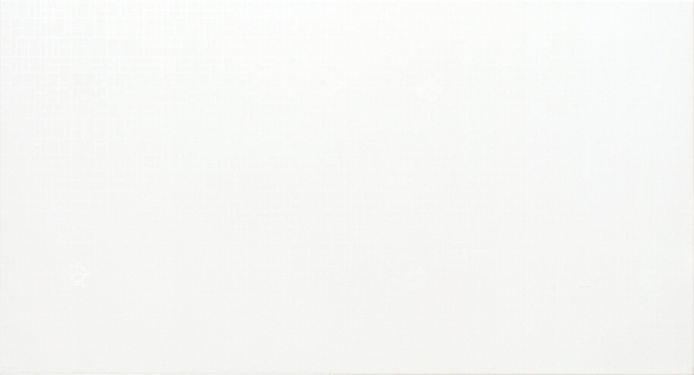 Купить Fanal Blocks Blanco Rev 32,5х60 