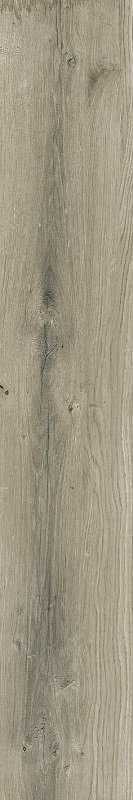 Купить Tau Eternal Olivo 20x120 