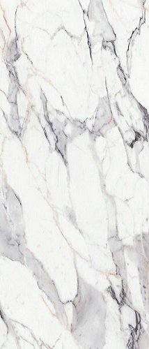 Купить Les Origenes De Rex Argent Mat 6mm R 120x280 