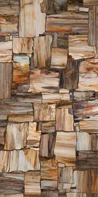 Купить Mirage Privilege Petrified 120x240 