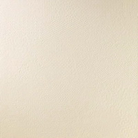 Купить La Fabbrica Ecru Vision 120x120 