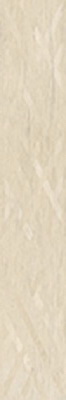 Купить Cerdomus Antique Ivory Fondi Rett.Decorati 20х120 