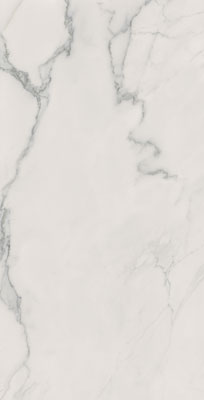 Купить Ava I Marmi Statuario Lapp.Rett. 120х240 