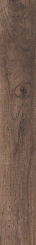 Купить RHS Aspen Brown Strong 15х100 