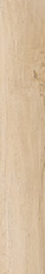Купить Cerdomus Antique Clay Fondi Nat. Rett 20х120 