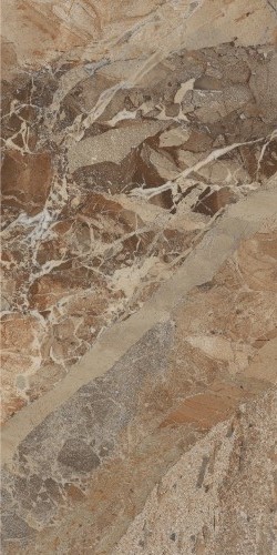 Купить Neodom Splendida Moscaretto Brown 60x120 