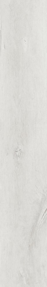 Купить Peronda Lenk White AS C/R 19,5x121,5 