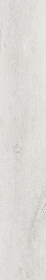 Купить Peronda Lenk White AS C/R 19,5x121,5 