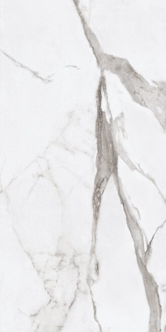 Купить Ariana Epoque White Statuario Ret 60X120 