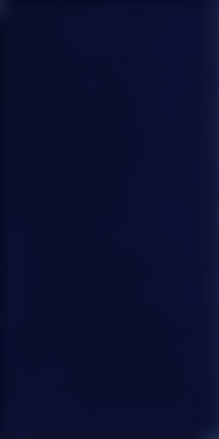 Купить Vives Monocolor Azul Noche 14x28 