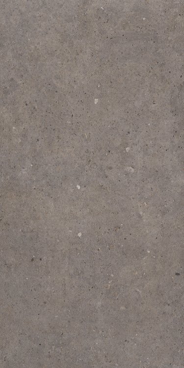 Купить Sanchis Cement Stone Dark Grey Lapp  60×120 