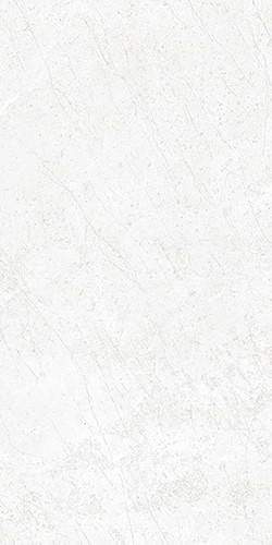 Купить Peronda Pav. Alpine White HO 60x120 
