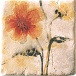 Купить Cir&Serenissima Marble Style Inserto S3 Style 2 10х10 
