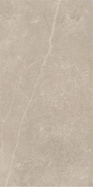 Купить STN Monolith Beige Rect 59,5x120 