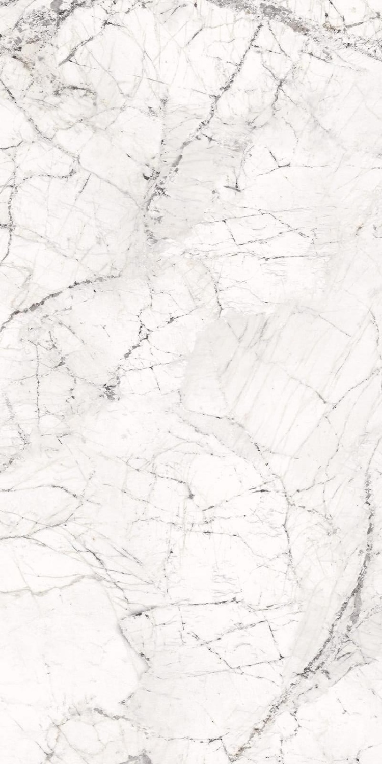 Купить Emil Ceramica Level Marmi Book Match B Blanc Du Blanc Lapp 162x324 