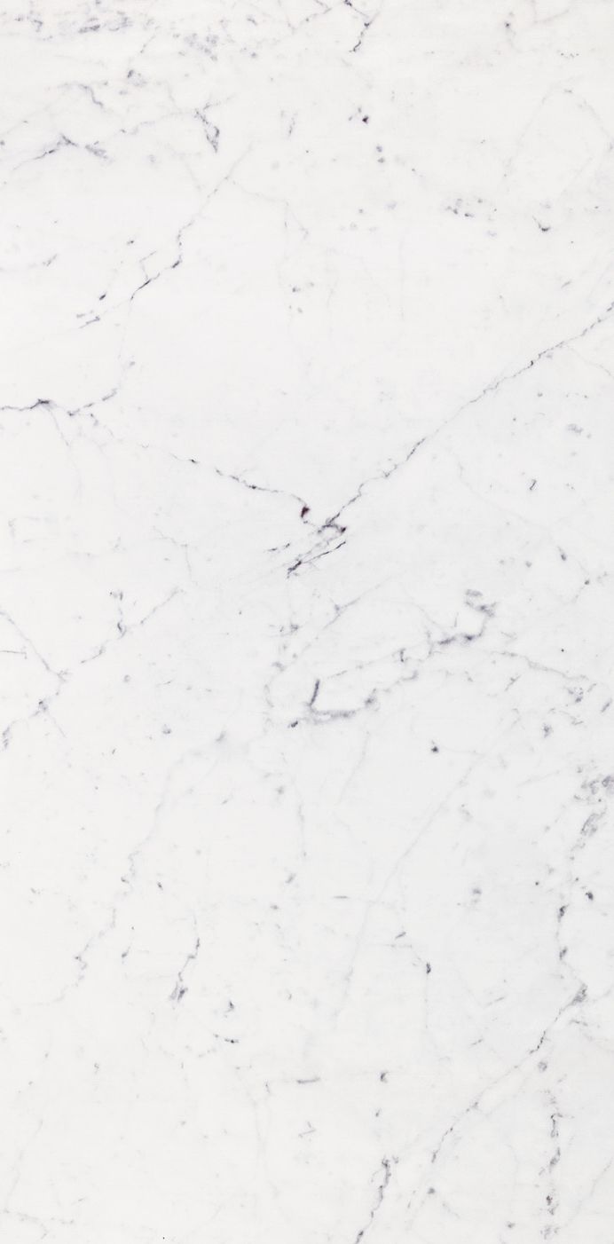 Купить Porcelanosa Bianco Pul. 58,6x118,7 