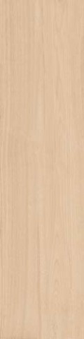 Купить Imola Wood WCST 3012A RM 30x120 