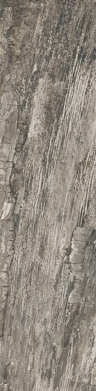 Купить Emil Ceramica Petrified Tree Grey Bark 22,5х90 