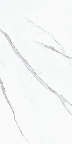 Купить Nocturne White FLPR 60х120 